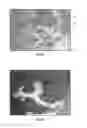 Fig. 04 - Implantable biomaterials having functional surfaces