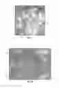 Fig. 05 - Implantable biomaterials having functional surfaces