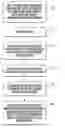 Fig. 01 - Method for decolonizing mammalian skin