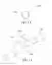 Fig. 09 - CATHETER WITH DEDICATED FLUSHING PORT