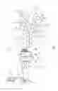 Fig. 02 - Deflectable catheter with compound curve articulation and materials for the same