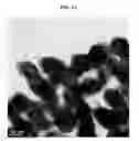 Fig. 05 - Neural electrode and manufacturing method thereof