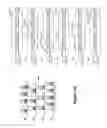 Fig. 12 - Enhanced Selectivity and Modulation in Coordinated Reset in Deep Brain Stimulation