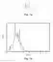 Fig. 06 - Method and device for radiotherapy