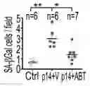 Fig. 01 - METHOD OF PROMOTING HAIR GROWTH