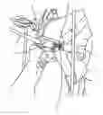 Fig. 01 - HARNESS EQUIPPED WITH ERGONOMIC CONNECTION POINTS