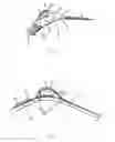 Fig. 05 - HARNESS EQUIPPED WITH ERGONOMIC CONNECTION POINTS