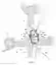 Fig. 02 - Harness