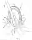Fig. 08 - Harness