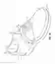 Fig. 03 - Shoe weight for athletic training