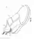 Fig. 07 - Shoe weight for athletic training