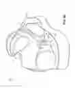 Fig. 08 - Shoe weight for athletic training