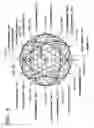 Fig. 07 - Method of dividing spherical surface of golf ball, and golf ball having surface divided by method