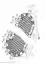Fig. 08 - Adhesive flute support while winding fluted pack