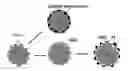 Fig. 01 - Nb Oxide Embedded In Carbon And Its Use For Making Active And Durable Oxygen Reduction Electrocatalysts