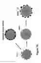 Fig. 02 - Nb Oxide Embedded In Carbon And Its Use For Making Active And Durable Oxygen Reduction Electrocatalysts