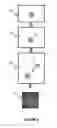 Fig. 02 - PARTICLE BASED IMMUNOASSAY WITH ALTERNATING CURRENT ELECTROKINETICS