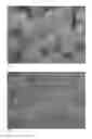 Fig. 06 - Method for producing refractory composite particles and feeder elements for the foundry industry, corresponding feeder elements and uses