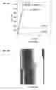 Fig. 03 - High toughness metallic glass-based composites for additive manufacturing