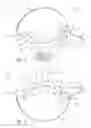 Fig. 04 - POWER TOOL EXTENSION HANDLE APPARATUS AND METHOD OF USE