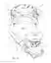 Fig. 07 - POWER TOOL EXTENSION HANDLE APPARATUS AND METHOD OF USE