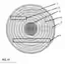 Fig. 10 - Methods of treatment of laminated timber