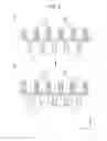 Fig. 06 - Recording apparatus