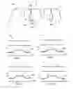 Fig. 02 - Tread with concealed cavities comprising a wear indicator having improved visibility