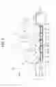 Fig. 03 - Battery mounting structure