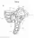 Fig. 06 - Seat lock apparatus