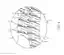 Fig. 05 - Redundant gear assembly for vehicle steering column and method