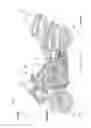 Fig. 02 - Straddled vehicle