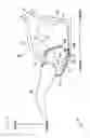 Fig. 10 - Straddled vehicle