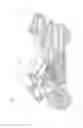 Fig. 02 - Straddled vehicle