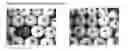 Fig. 01 - PACKAGING FOR FRUIT AND VEGETABLE PRODUCTS TREATED WITH AN ANTIMICROBIAL SOLUTION