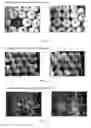 Fig. 02 - PACKAGING FOR FRUIT AND VEGETABLE PRODUCTS TREATED WITH AN ANTIMICROBIAL SOLUTION