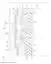 Fig. 42 - MEMS-device manufacturing method, MEMS device, and MEMS module