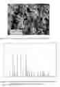 Fig. 06 - PHOSPHATE COMPOUNDS SUITABLE FOR THE PRODUCTION OF CATHODES FOR LI-ION BATTERIES