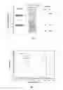 Fig. 02 - Doping agents for use in conjugated polymer extraction process of single walled carbon nanotubes