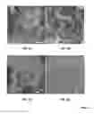 Fig. 06 - FORMATION OF THREE-DIMENSIONAL MATERIALS BY COMBINING CATALYTIC AND PRECURSOR MATERIALS