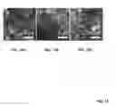 Fig. 16 - FORMATION OF THREE-DIMENSIONAL MATERIALS BY COMBINING CATALYTIC AND PRECURSOR MATERIALS