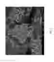 Fig. 03 - Synthesis of SFE framework type molecular sieves