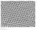 Fig. 01 - Inverse opal material for visible-light driven photocatalytic degradation of organic pollutants, and preparation method thereof