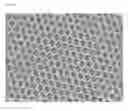 Fig. 02 - Inverse opal material for visible-light driven photocatalytic degradation of organic pollutants, and preparation method thereof