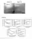 Fig. 06 - MICROWAVE PROCESSING OF THERMOELECTRIC MATERIALS AND USE OF GLASS INCLUSIONS FOR IMPROVING THE MECHANICAL AND THERMOELECTRIC PROPERTIES