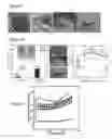 Fig. 07 - MICROWAVE PROCESSING OF THERMOELECTRIC MATERIALS AND USE OF GLASS INCLUSIONS FOR IMPROVING THE MECHANICAL AND THERMOELECTRIC PROPERTIES