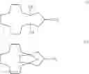Fig. 03 - Process for preparing 3-methylcyclopentadecane-1,5-diol