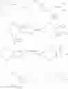 Fig. 05 - Process for preparing 3-methylcyclopentadecane-1,5-diol