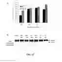 Fig. 08 - Compositions and methods for glucose transport inhibition