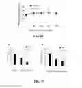 Fig. 22 - Compositions and methods for glucose transport inhibition